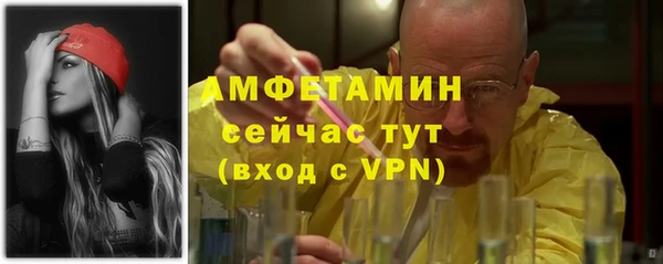 сатива Абинск