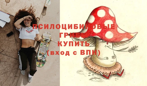 сатива Абинск