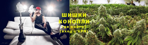 сатива Абинск