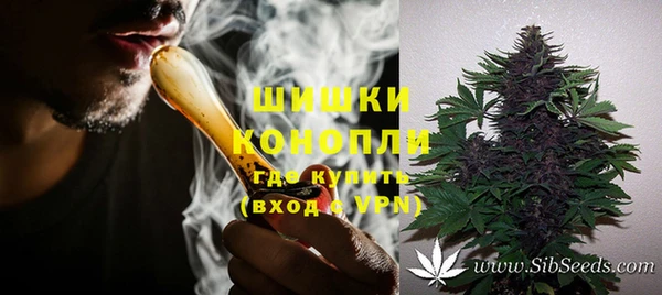 сатива Абинск