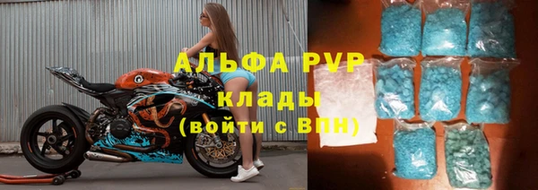 сатива Абинск