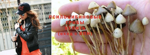 твердый Абдулино
