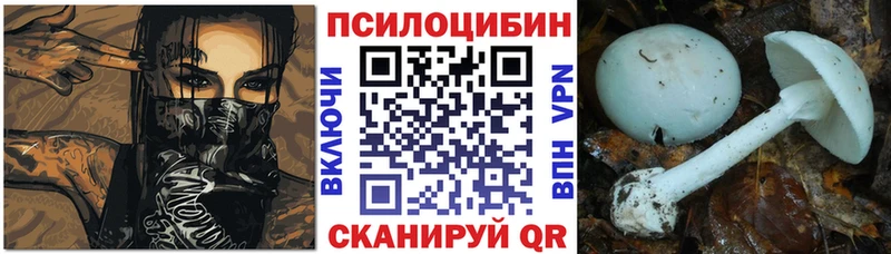 Галлюциногенные грибы Psilocybine cubensis  Кисловодск 