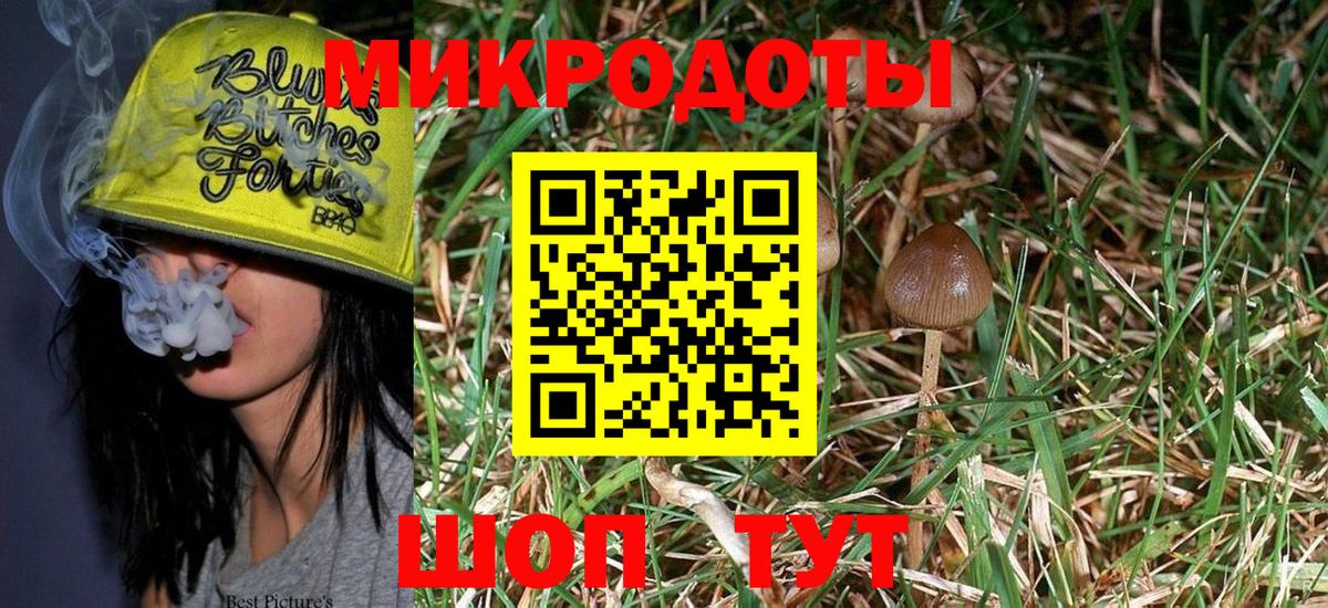 Псилоцибиновые грибы ЛСД Кисловодск